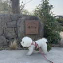 레이즈어라운드 이미지