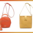 세인트스코트 카카오 검색결과