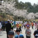 삼은초등학교 이미지