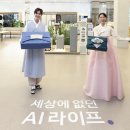 스토어 데일리안