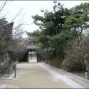정치10 이미지