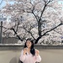 약대공원 | 부천 벚꽃 뷰가 예쁜 감성 카페 머디 후기 🌸