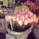 아이디어플라워 이미지