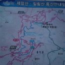 일림 이미지