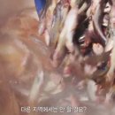 어부식당 이미지