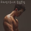 로하핏스튜디오 이미지