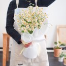 (주)스마트브리즈 이미지