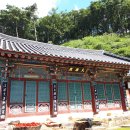 보광사 티스토리
