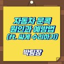 조성카센타 | 자동차 문콕 원인과 예방법 (ft. 싸게 수리하기)