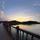 호수공원_희망의동산 | 가을서울근교 갈만한곳 반월호수공원에서 강아지산책 노을뷰맛집