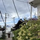 송현공원(이동) 이미지