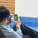 [충청남도 공주] 공주풀빌라 화이트리 풀빌라 펜션 솔직후기 / 수영장펜션 공주펜션