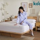 코알라홈 이미지