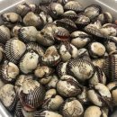 진영수산(벌교) 이미지