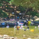 웅양면-31 이미지