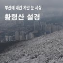 부산 첫눈, 황령산 눈 산행 이미지