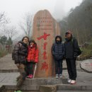 비안도초 이미지