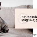 오창동물병원 이미지