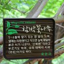 태백광택
