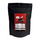 프리마 베라 이미지