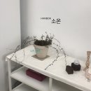 소온 이미지