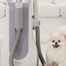 도도애견샵 이미지