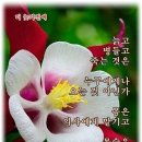 ＜박화진님＞ [세한도와 두 사람 /김정희와 이상적] 이미지