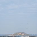 동서가설재