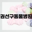 창문동물병원 이미지