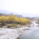 지리산산동산수유