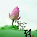 서귀포노인복지관 이미지