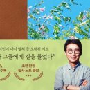 베스트샐러 이미지