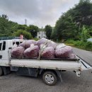 2025년햇고추가루판매합니다 이미지