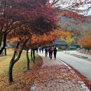 수리봉매점 | 선운산 단풍