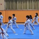 국가대표 탑 태권도 이미지