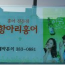 항아리홍어