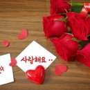 같이 있게 해주세요 / 동그라미 이미지