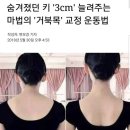 로샤기능성속옷