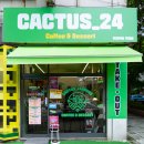 캑터스_24