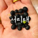 영주농부들 이미지