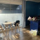 클럽타피올라 이미지