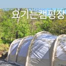 무릉도원면-45 이미지