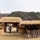 영주순흥민박 이미지