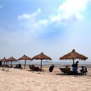 증도갯벌생태전시관 이미지