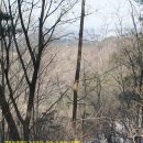 안산김씨 연성군 묘역 및 석물 | 2011년 1월 대전둘레산길 7구간 및 8구간