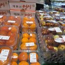 804 | 대전 유성구 신선식재료 장보기｜배지래빗 804 실제 후기