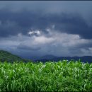 종주농장 이미지