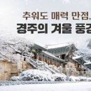 경주 가볼만한곳 겨울 교촌 한옥마을 등 부산근교 당일치기 이미지