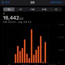 서울마라톤접수 후기 월드비전 6KM마라톤 기념품, 대회일정