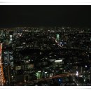 샛별여행 이미지